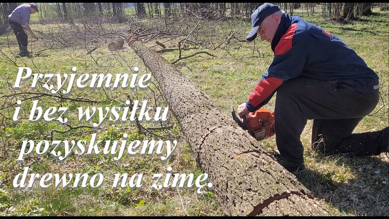 No i stalo się, awaria sprzęgła, łańcuch Longer, Husqvarna 359 - pomarańczowe złoto szwedzkie.