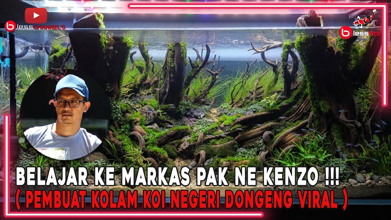 BELAJAR KE MARKAS PAKNE KENZHO❗❗❗ ( PEMBUAT KOLAM KOI NEGERI DONGENG VIRAL )