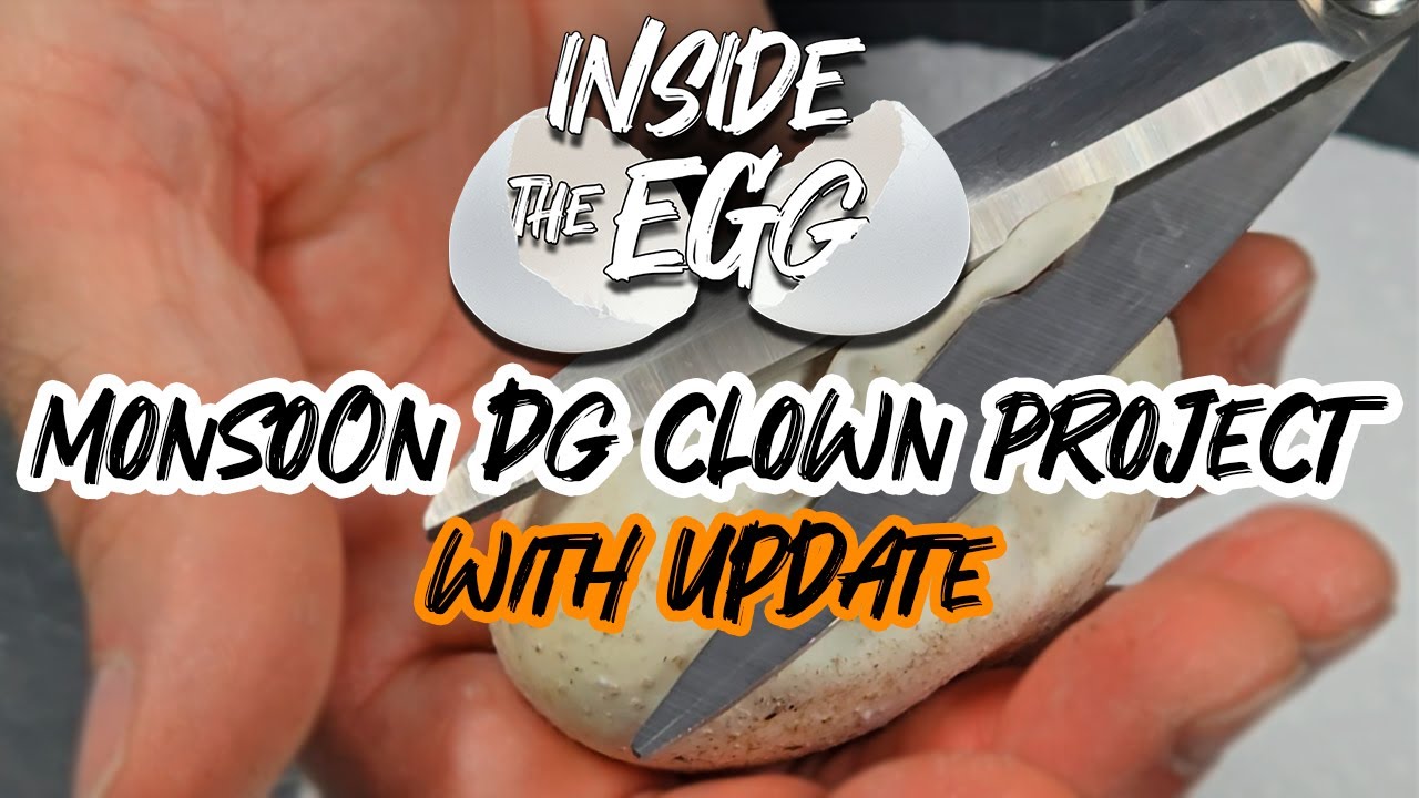 Monsoon DG Clown cutting + UPDATE | Inside the Egg 7