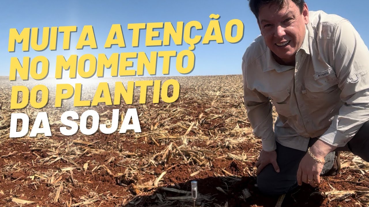 Muita atenção com estes 2 fatores no momento do PLANTIO da SOJA