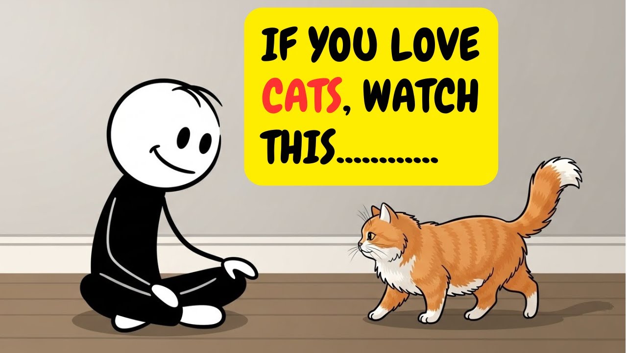 6 Cat Lover Traits That Science Just Discovered