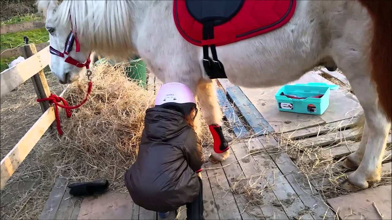 BALADE N°26 - à poney avec Chloé, éclair et Nono