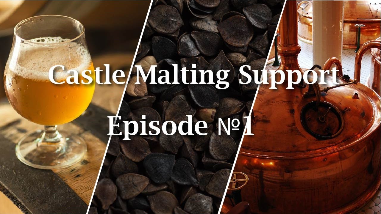 Answers to Your Queries - Malts and Fermentation | Castle Malting Support