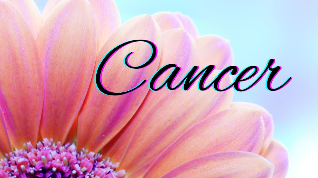 Cancer BONUS🌷Your Next Romantic Partner🌷New Love Reading