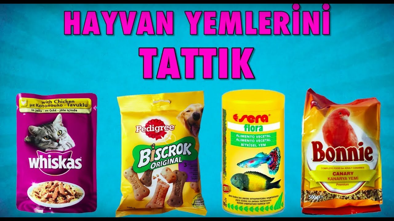 Kedi, Köpek Maması, Balık, Kuş Yemi Tattık