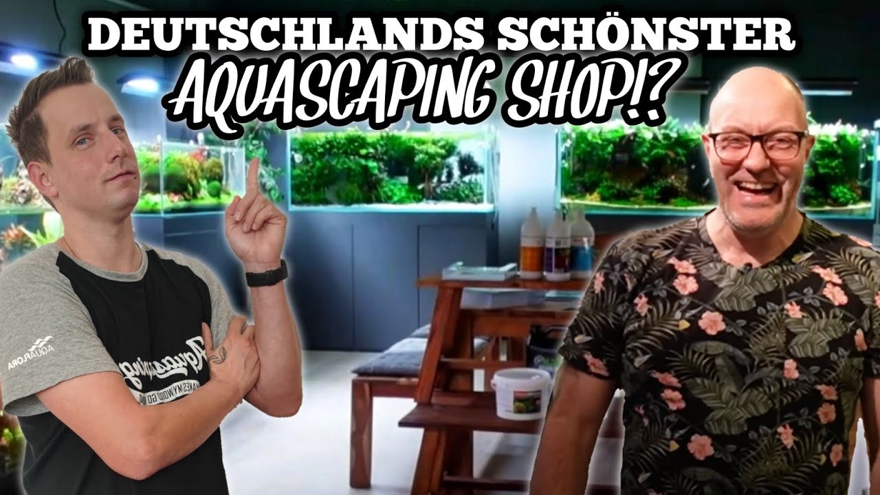 Der BESTE AQUASCAPING Laden in DEUTSCHLAND!? | Aquascapers Galerie
