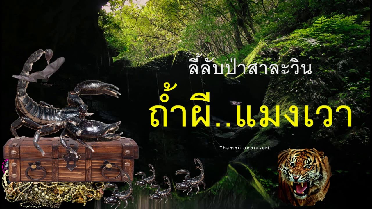 ๕๗.ถ้ำผี..แมงเวา ลี้ลับป่าสาละวิน