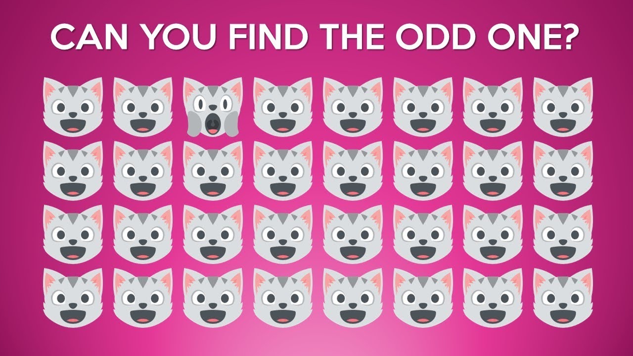Can You Spot The Odd Cat - Find The Odd Out Cat