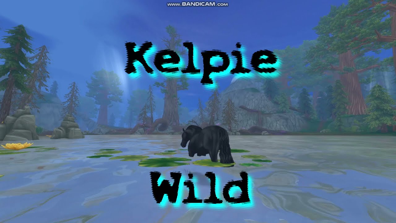 Kelpie Wild –SSO Music Videos-