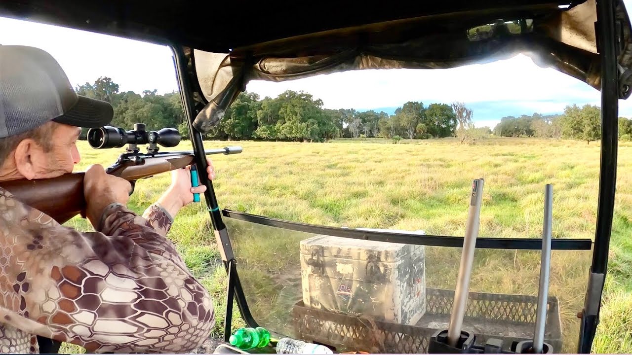 Eradicating Wild Hogs off of a Home made Hunting Buggy! (Catch and Cook Florida Man Style)