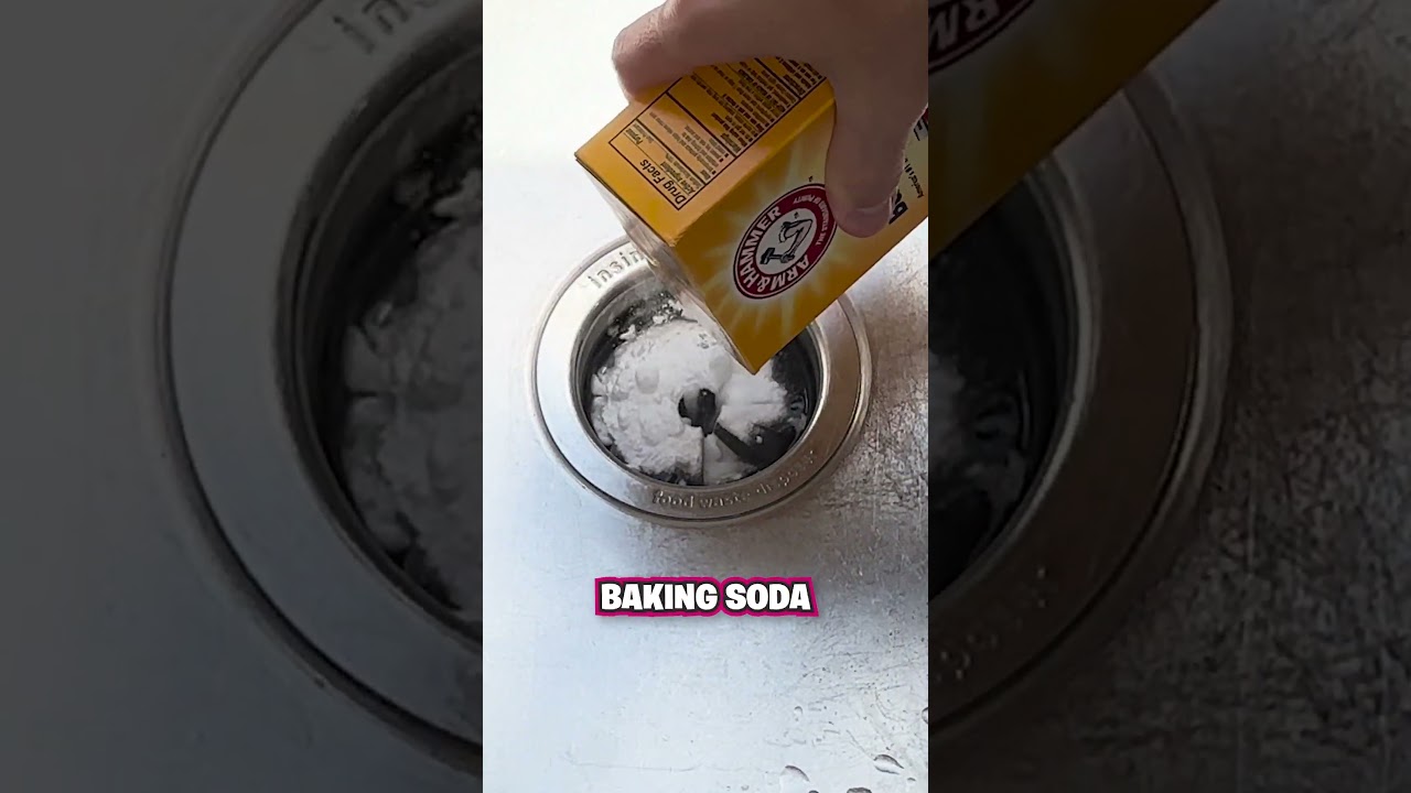 How to Clean Your Garbage Disposal! 💧