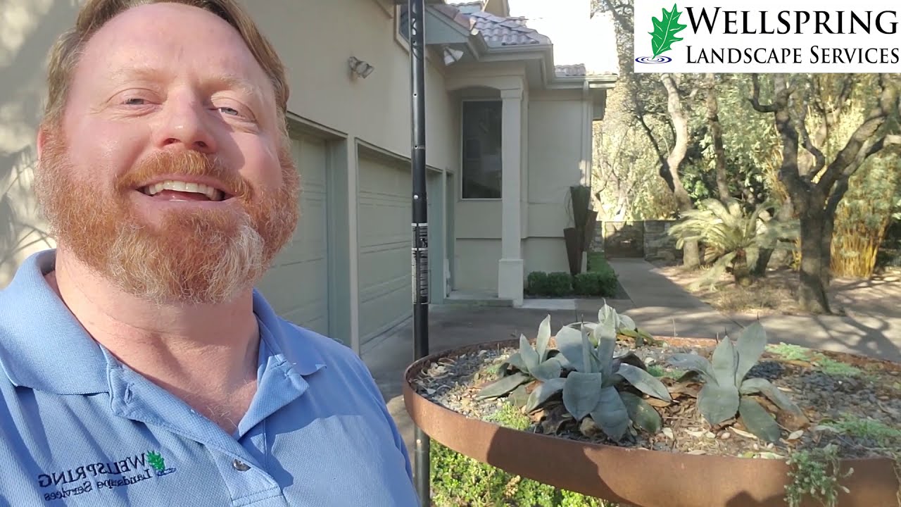 What to Prune after the Winter Freeze