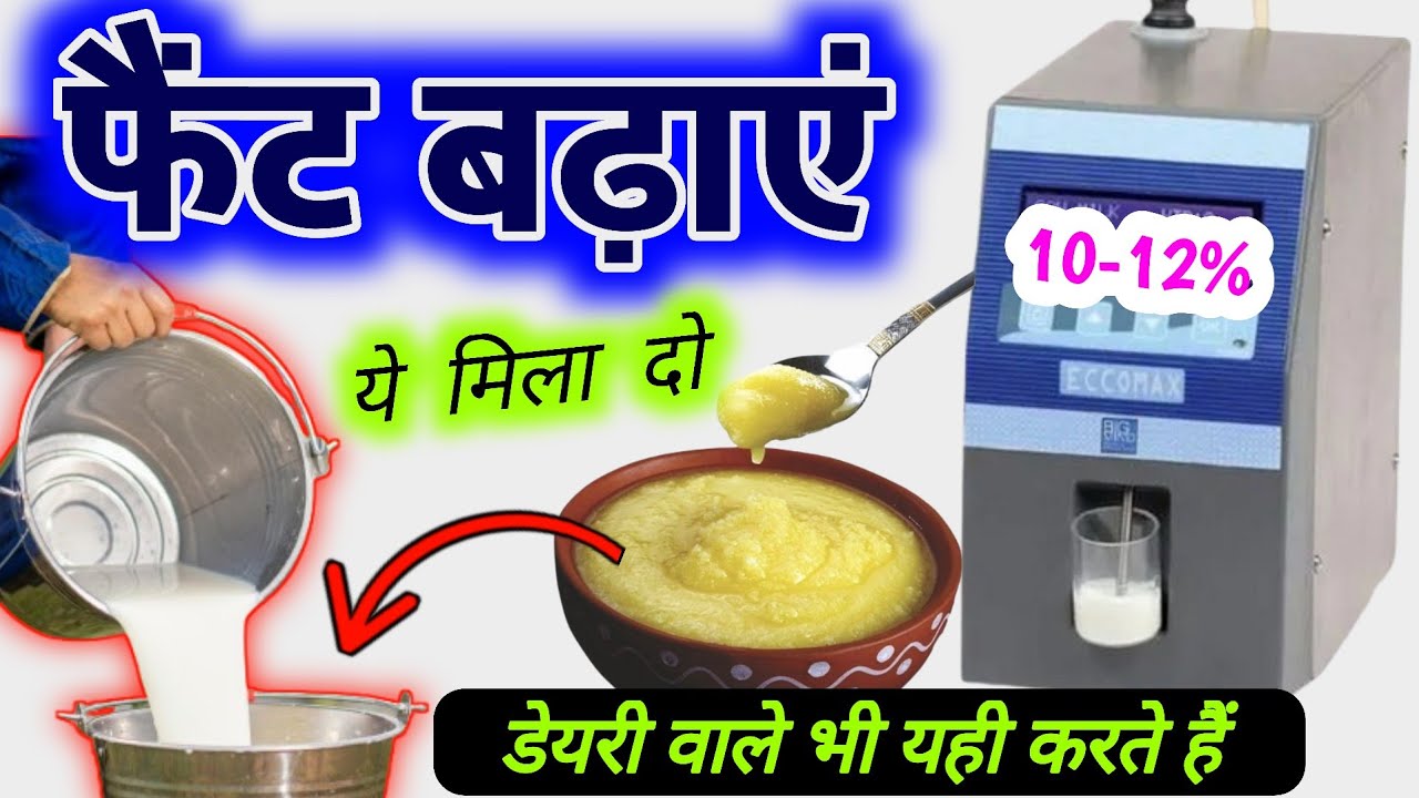 🥛दूध में फैट बढ़ाने का सीक्रेट तरीका🐄डेयरी वाले ये राज कभी नहीं बताएंगे✌🏻doodh ka fat kaise badhaye?