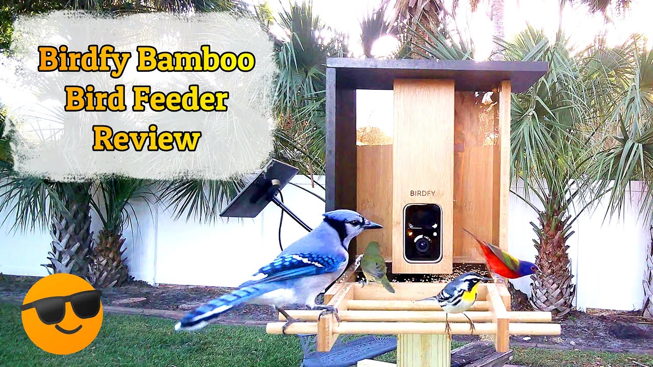 Netvue Birdfy Bamboo Smart Bird Feeder Review and Tutorial