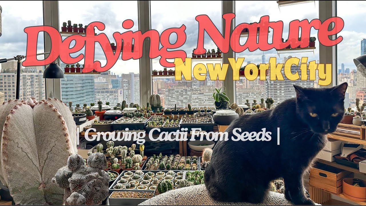 Unbelievable Desert Haven In New York City Apartment Grown From Seeds! Find Out How!