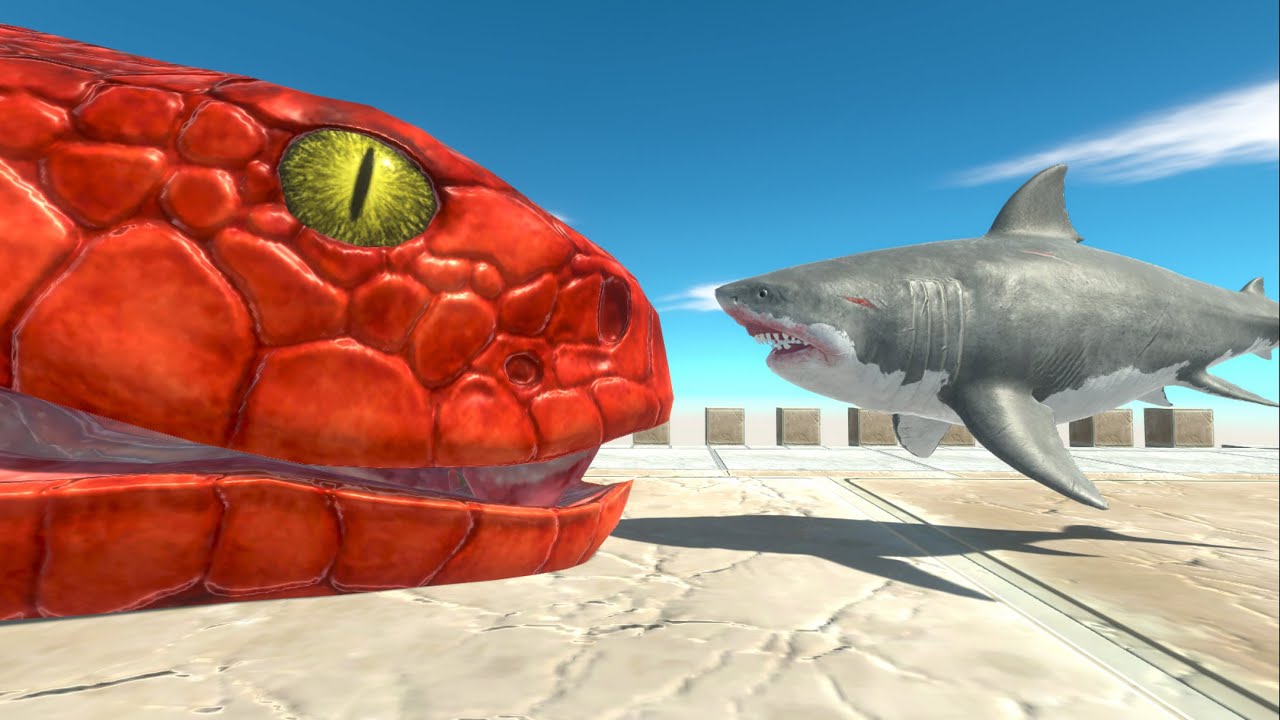 Baby Megalodon Shark vs Every Unit - Animal Revolt Battle Simulator