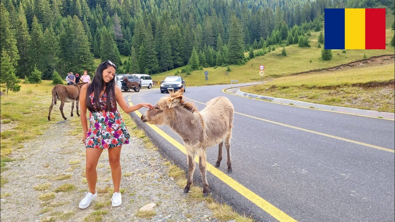 😍 Así es la CARRETERA MAS ALTA de RUMANÍA | Transalpina Rumanía