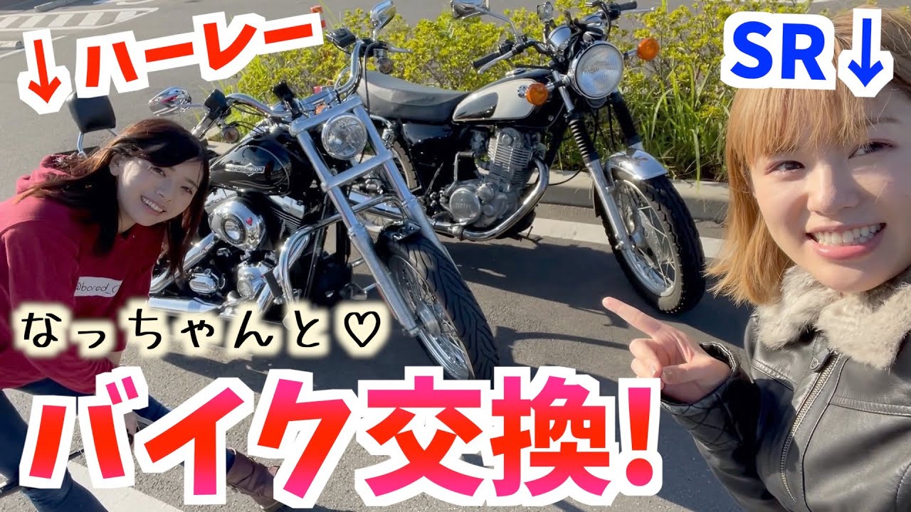 【ハーレー×SR】なっちゃんとバイク交換してみたけど、エンジン一生掛からんんのだがー涙【稀に暇なOL _なっちゃん】