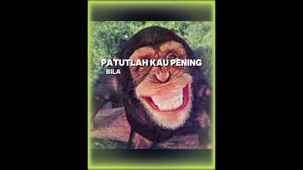 ~SEKSI KE BANG ~(PADAN MUKA) by T_Rexz