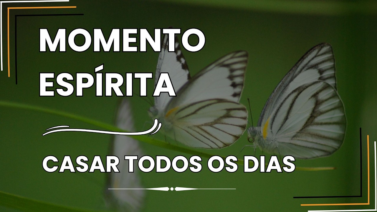Momento Espírita - Casar Todos os Dias #espiritualidade #momentoespírita #casal  #casamento