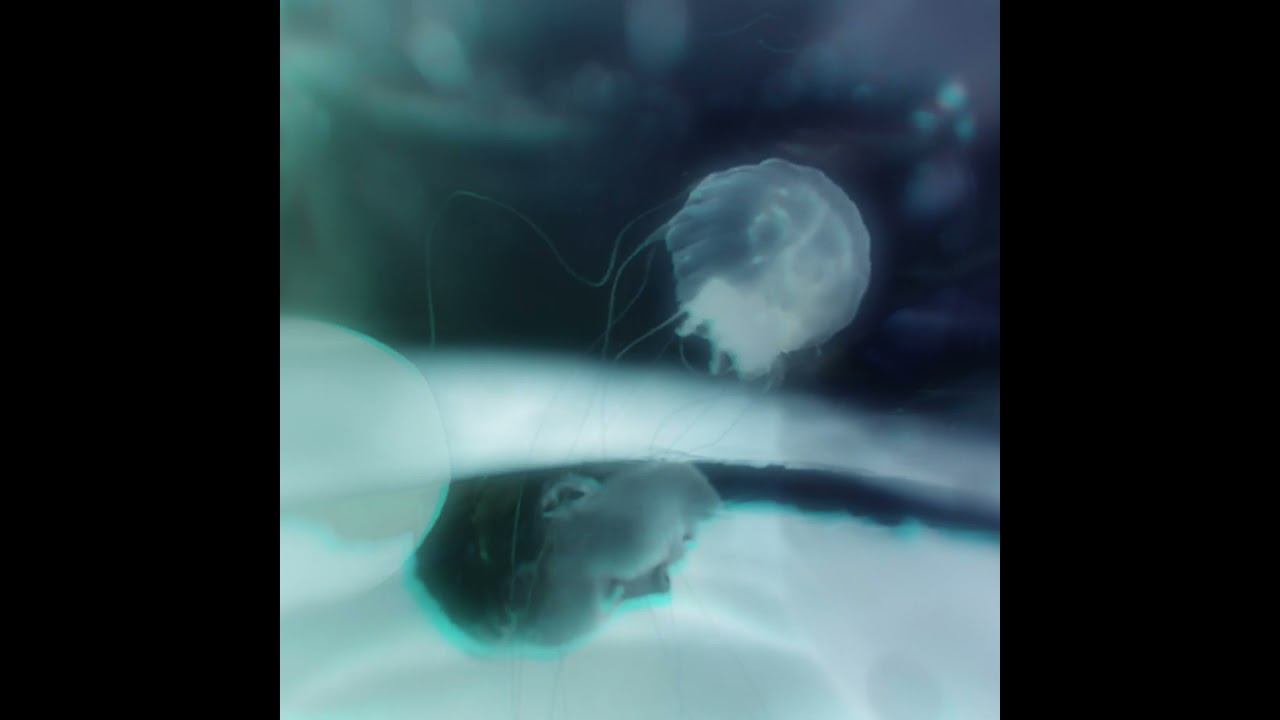 Marry Waterson & Oliver Knight - 'Revoiced'
