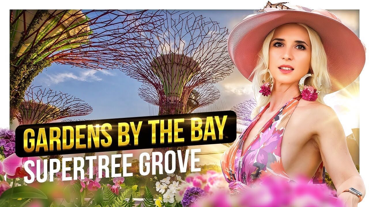 Supertree Grove Singapore | Gardens by the Bay | OCBC Skyway, Observatory & Light Show