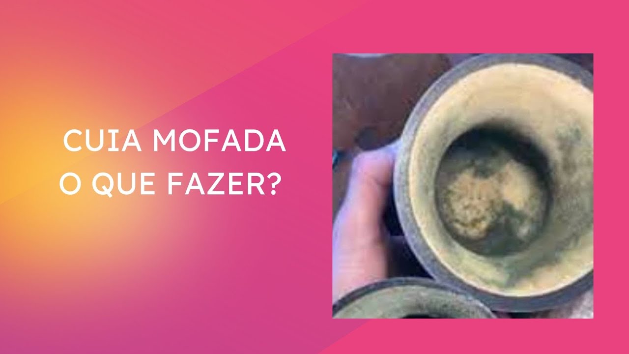 Cuia mofada o que fazer?