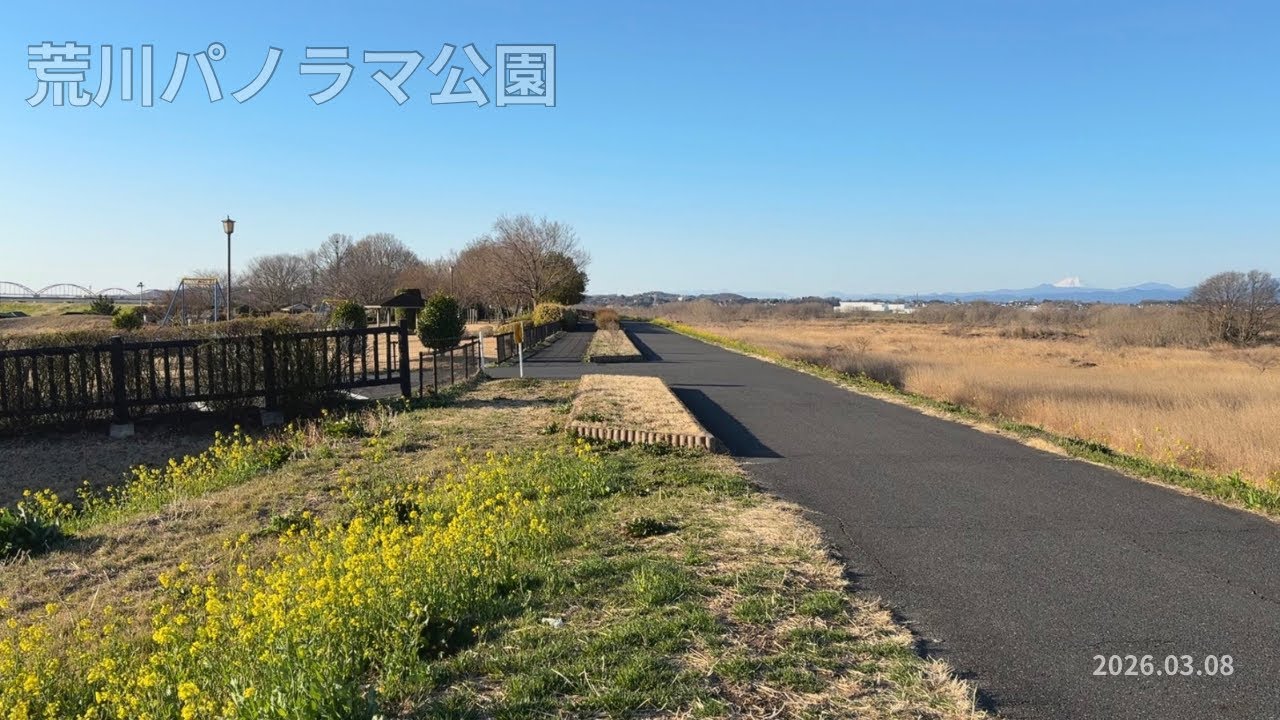【環境音のみ】早朝散歩｜鴻巣市 荒川パノラマ公園｜2026.03.08 | 荒川の風を感じる朝