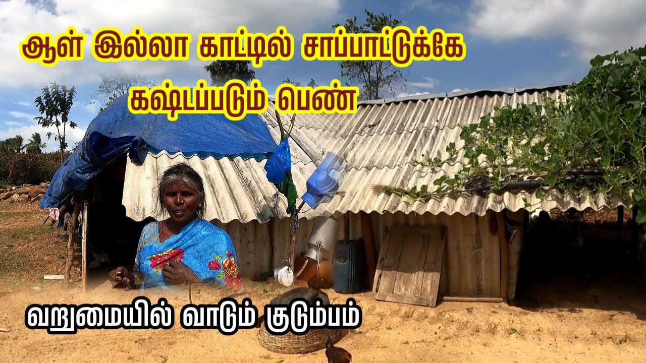 ஆள்  இல்லாத  காட்டில் சாப்பாடுக்கே கஷ்டபடும் பெண் | வறுமை வாடும் குடும்பம் |Poverty stricken family|