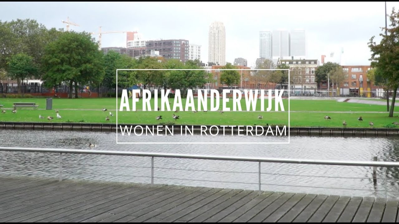 AFRIKAANDERWIJK IS HIP EN HAPPENING | Wonen in Rotterdam