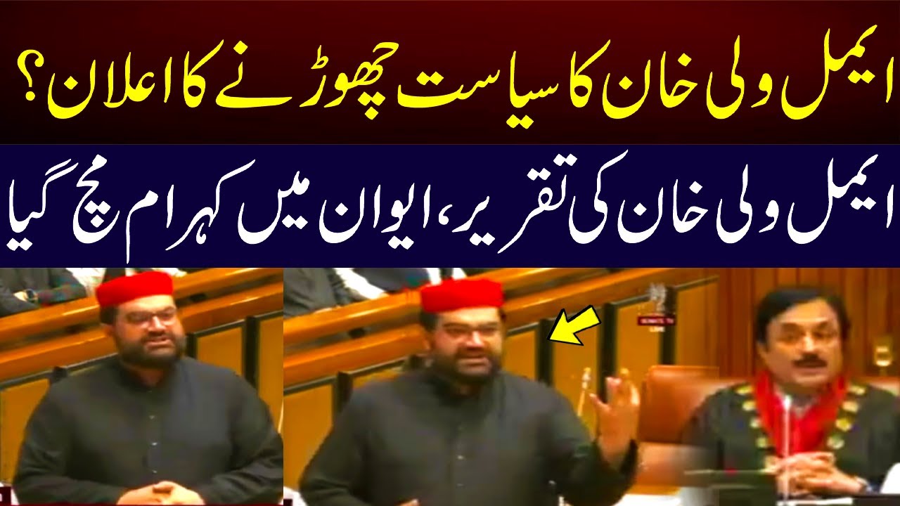 Aimal Wali Khan Stunned Everyone in Senate | Fiery Speech About Pashtun Identity | GNN