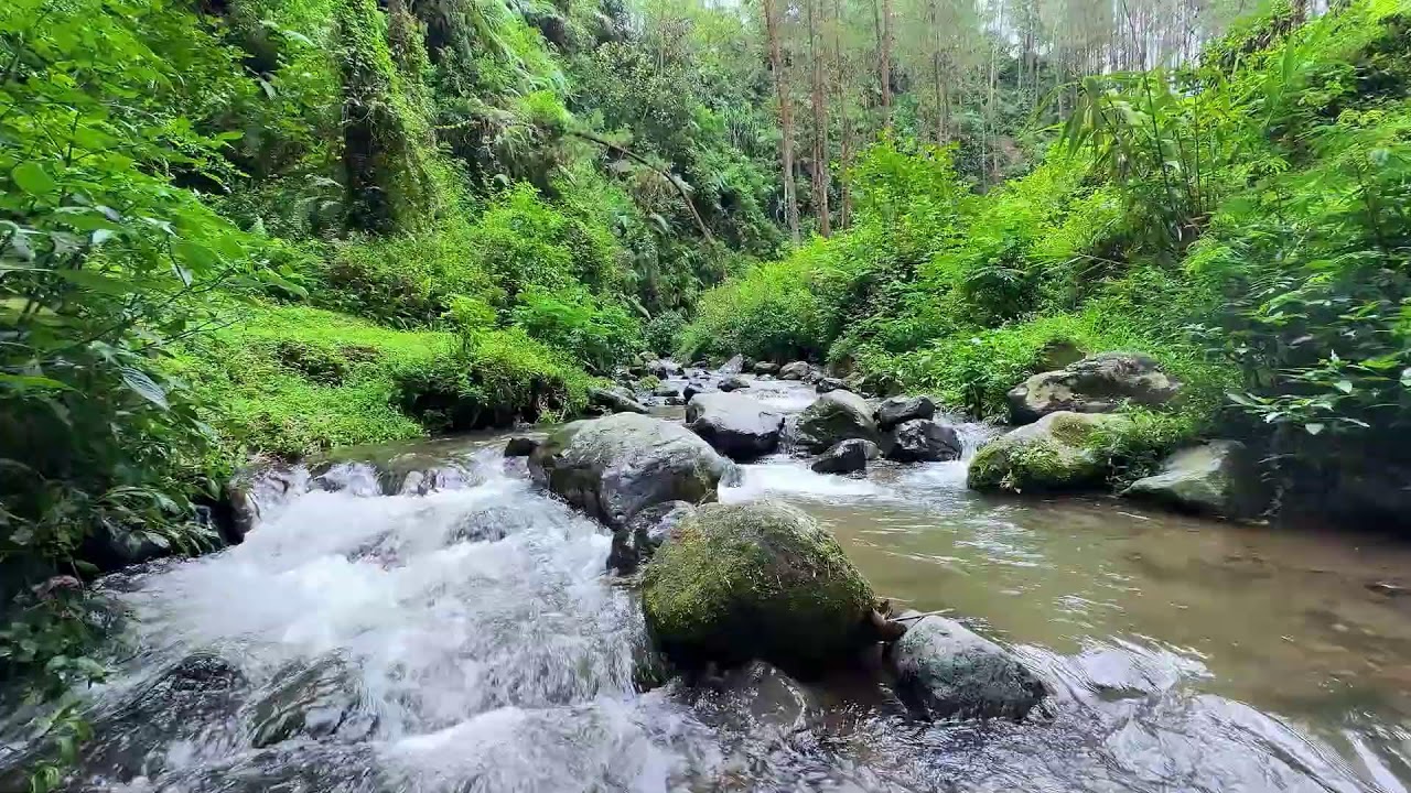 Soothing river sound under stars helping deep sleep restore calm energy overnight