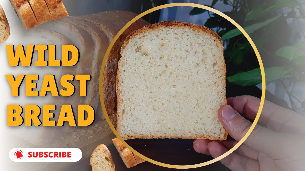 Wild Yeast Bread: The Ancient Art of Wild Yeast