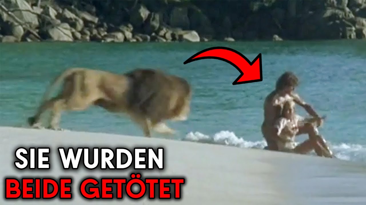Die SCHRECKLICHSTEN Gro&szlig;katzen-Angriffe aller Zeiten!