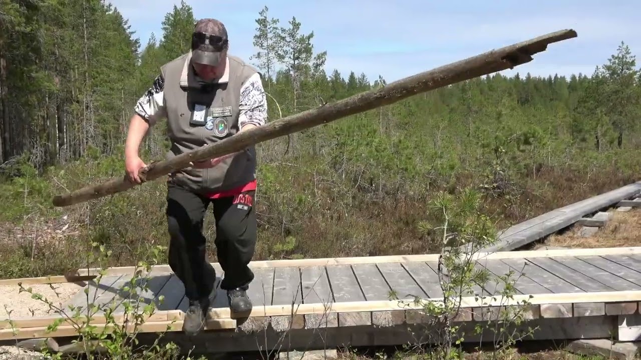 Ismon kirjolohet hengenvaarassa!!
