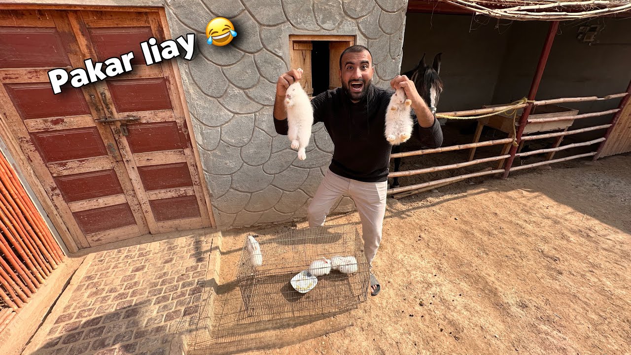 Finally Aj Sary Rabbits Babies ko Pkr lia😍