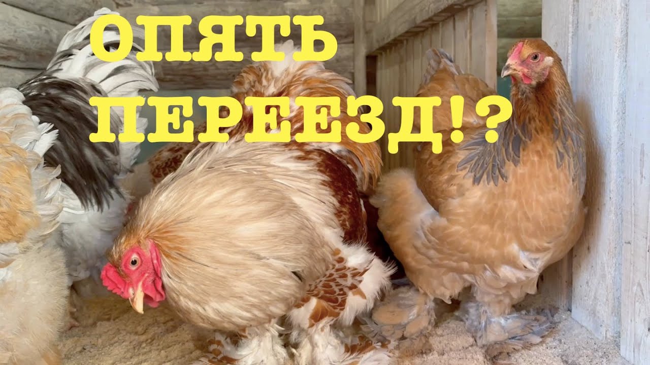 #171. Субботник. Су-вид. [Жизнь на своей земле]