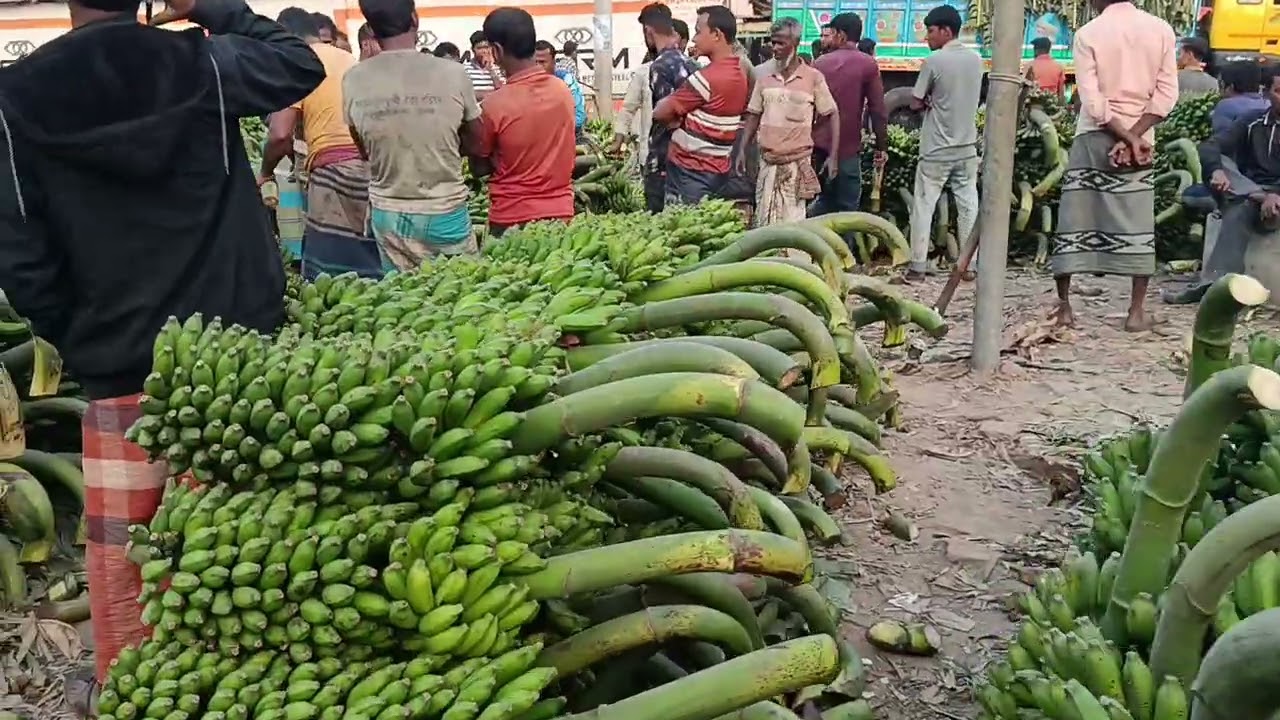 জয়পুরহাটের বিখ্যাত দূর্গাদহ কলার হাট।
