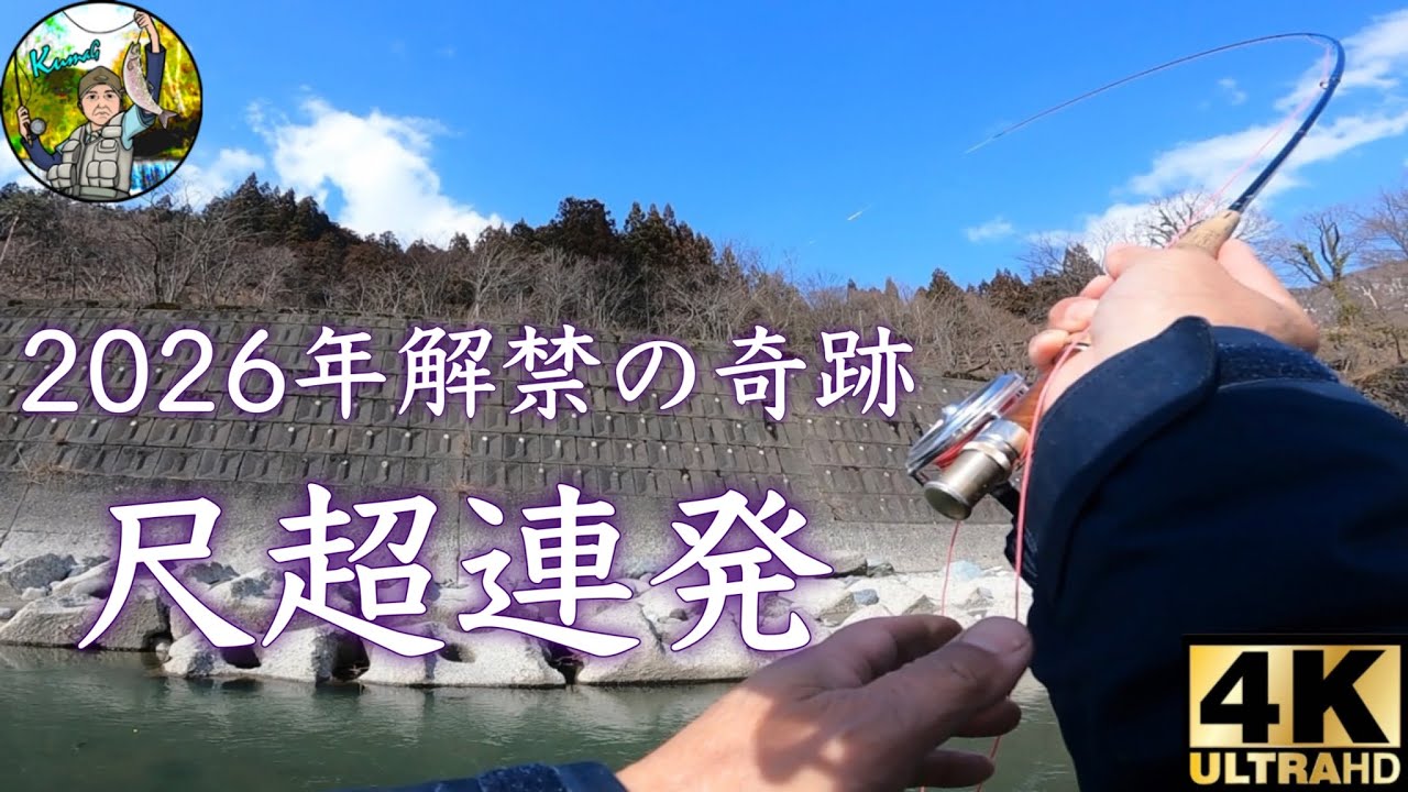 【Fly fishing】2026.3解禁の奇跡/尺超連発/尺イワナ37cm/4K