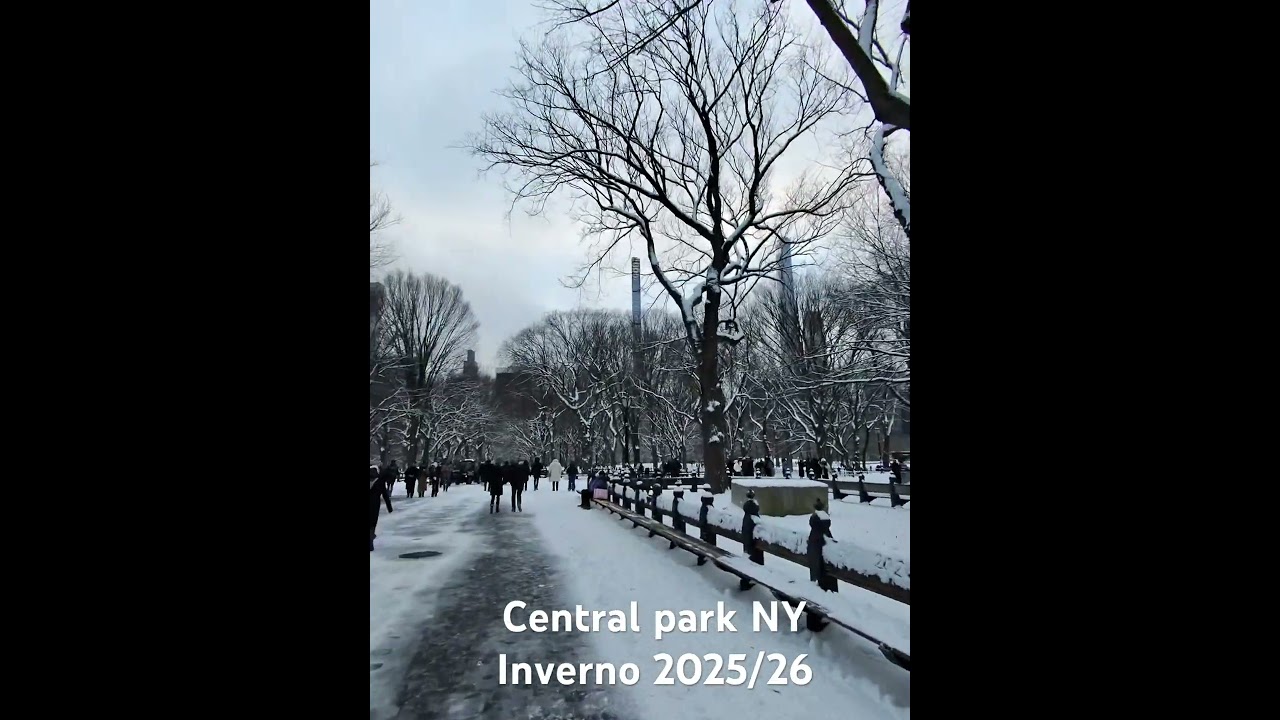 Olha como está o central Park em New York