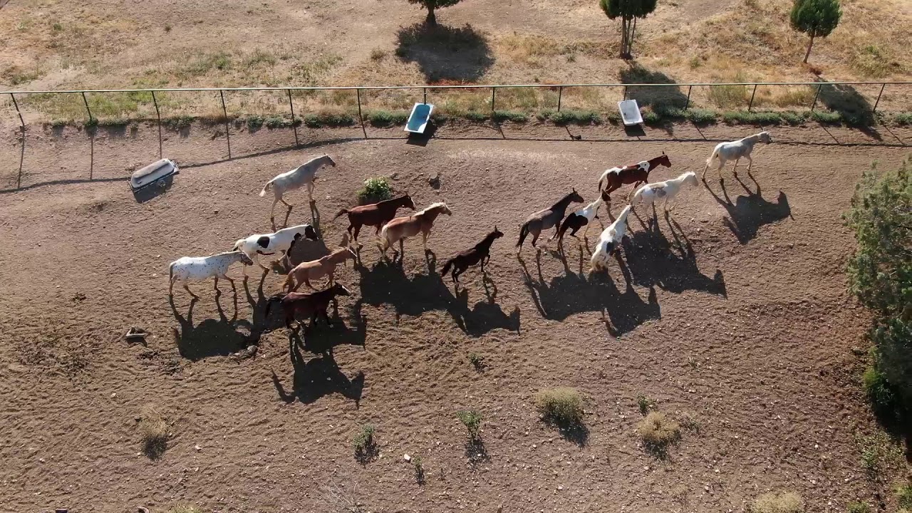 Άβαντας Έβρου - Avandas Evros - Dji Mavic 2 zoom