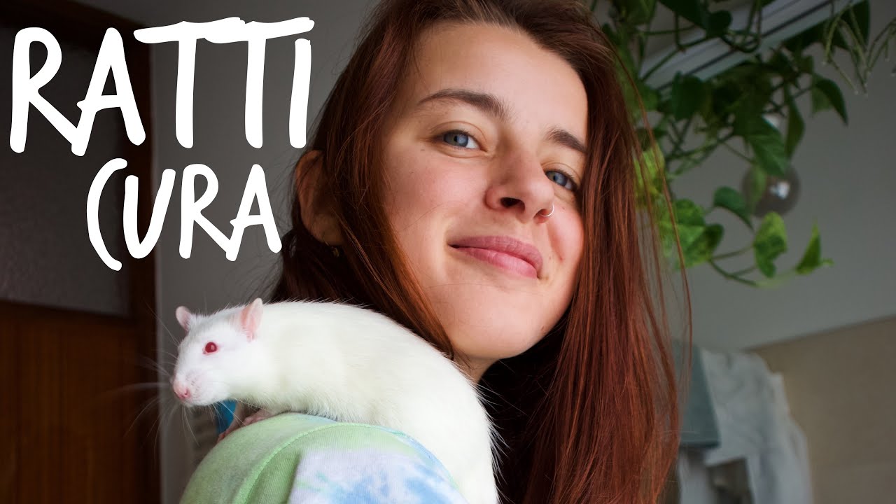 RATTI🐀Cura e Gestione