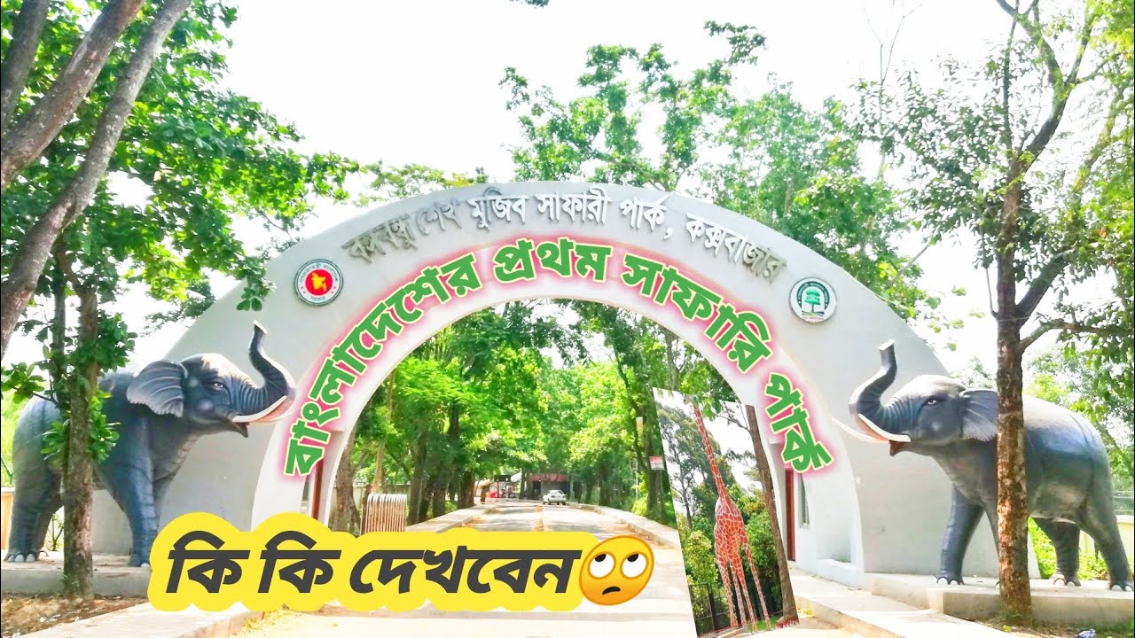 বাংলাদেশের প্রথম সাফারি পার্ক - ডুলাহাজারা সাফারি পার্ক || চকোরিয়া || কক্সবাজার || 🇧🇩