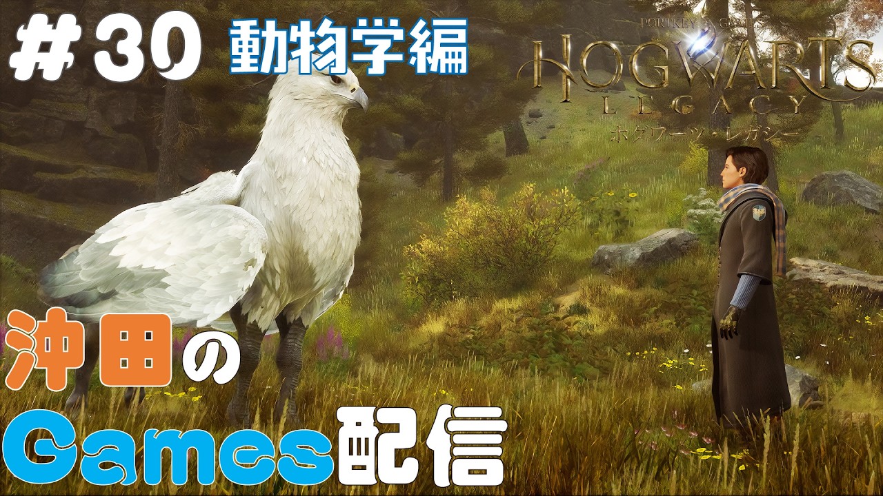 ホグワーツレガシー #30「動物学の授業」