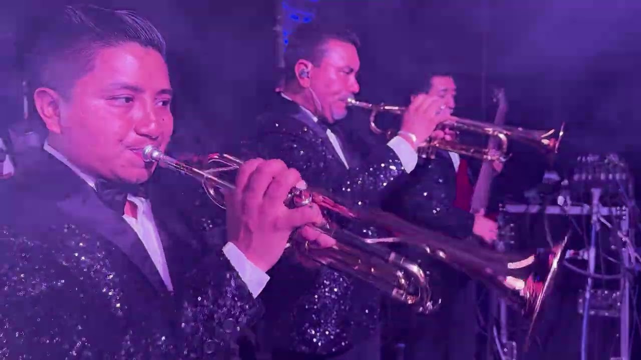 Muchachita Consentida - Internacionales Conejos 4K