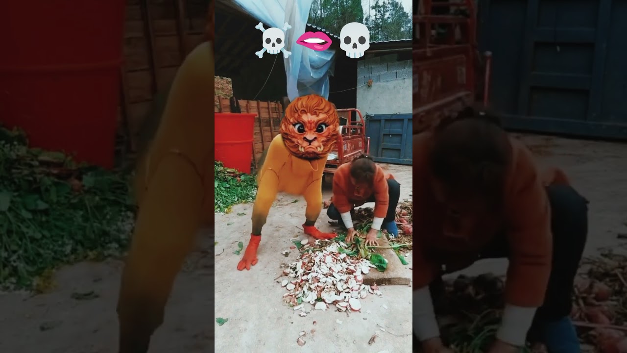 Epic Monkey and Girl Funny Moments | Try Not to Laugh! 