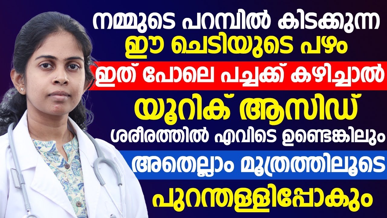 ഈ പഴം പച്ചക്ക് കഴിച്ചാൽ യൂറിക് ആസിഡ് കുറയും | ഒരു തുള്ളി യൂറിക് ആസിഡും ഉണ്ടാകില്ല | Uric Acid