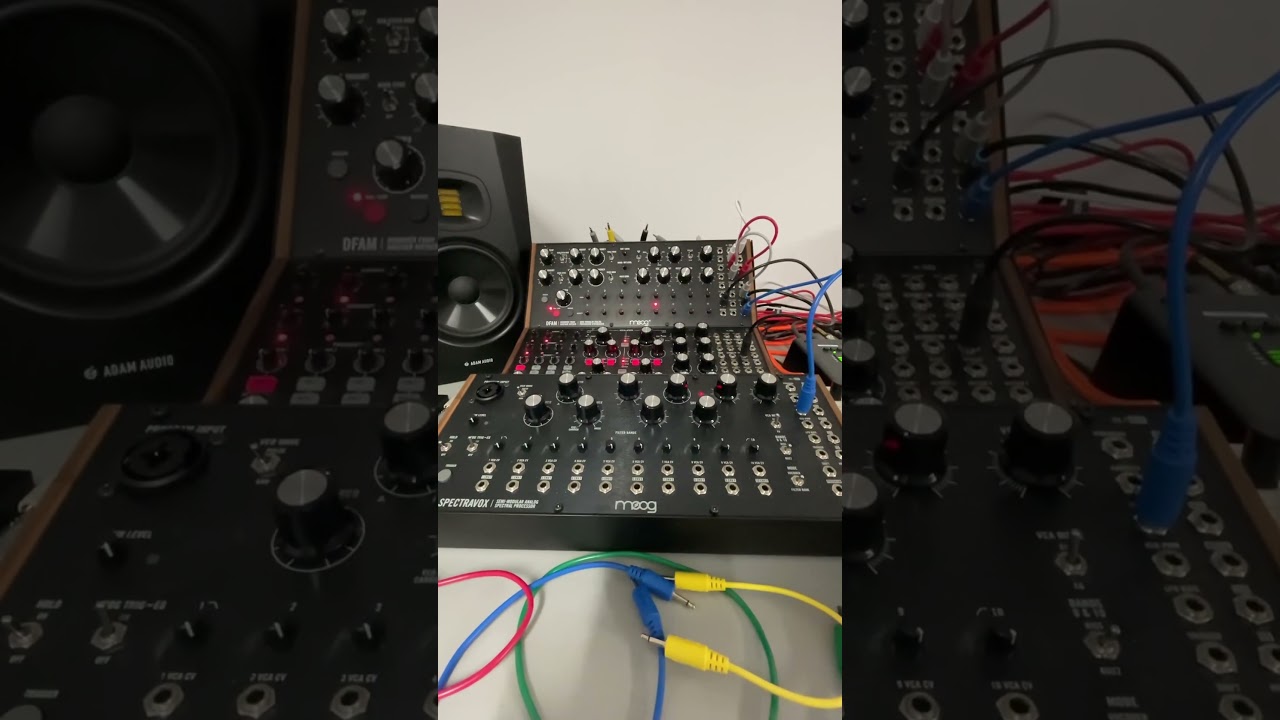 Moog Dfam Sub Harmonicon Spectravox #electronicmusic #semimodular