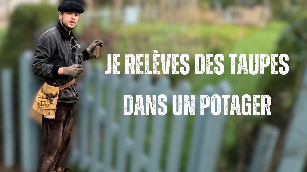 🌿 Comment attraper une taupe dans son potager ?