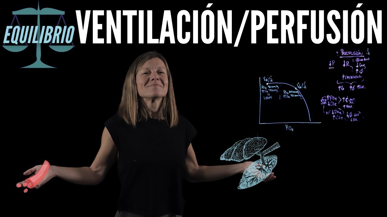Equilibrio ventilación-perfusión alveolar